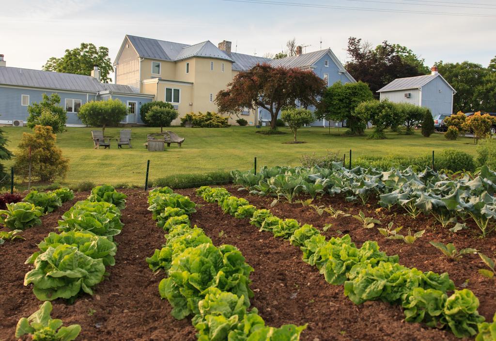 Boyce L'Auberge Provencale Inn & Restaurant מראה חיצוני תמונה