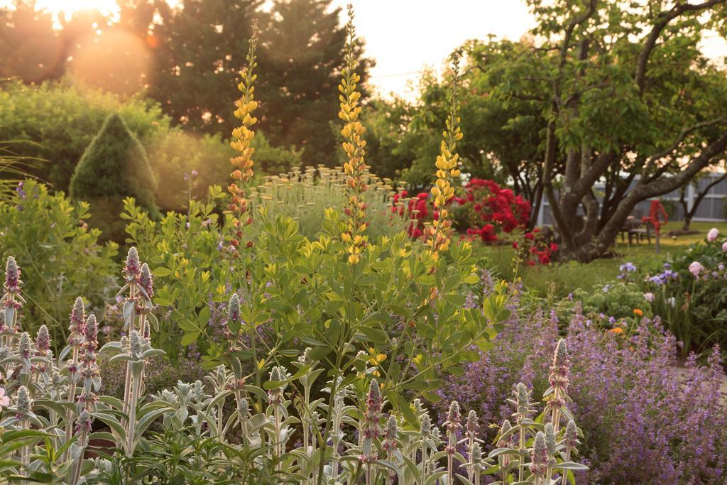 Boyce L'Auberge Provencale Inn & Restaurant מראה חיצוני תמונה