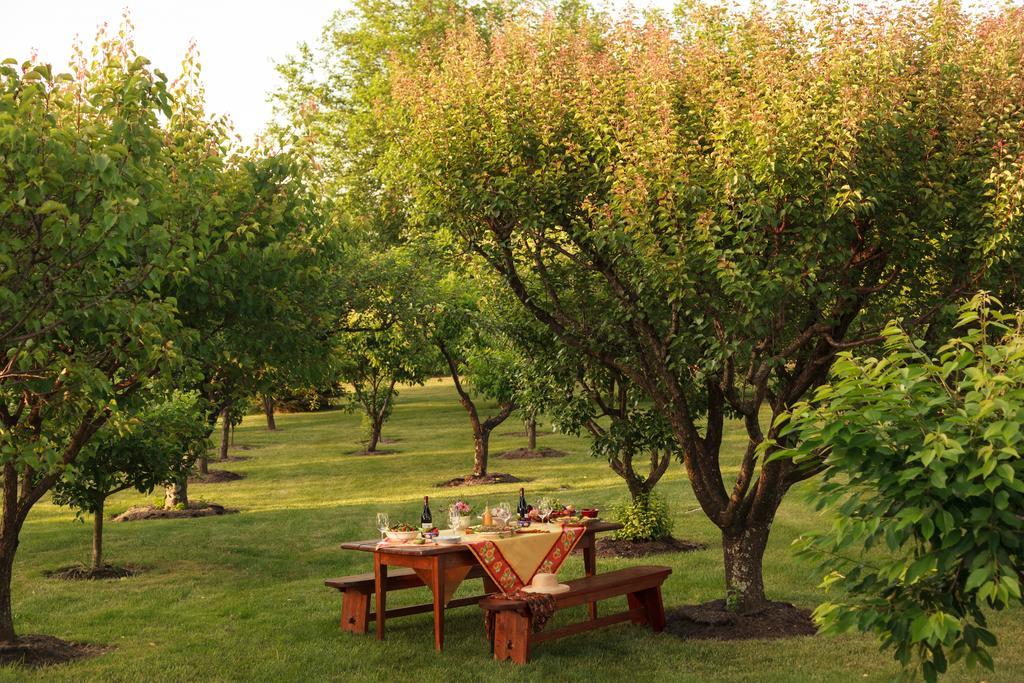 Boyce L'Auberge Provencale Inn & Restaurant מראה חיצוני תמונה